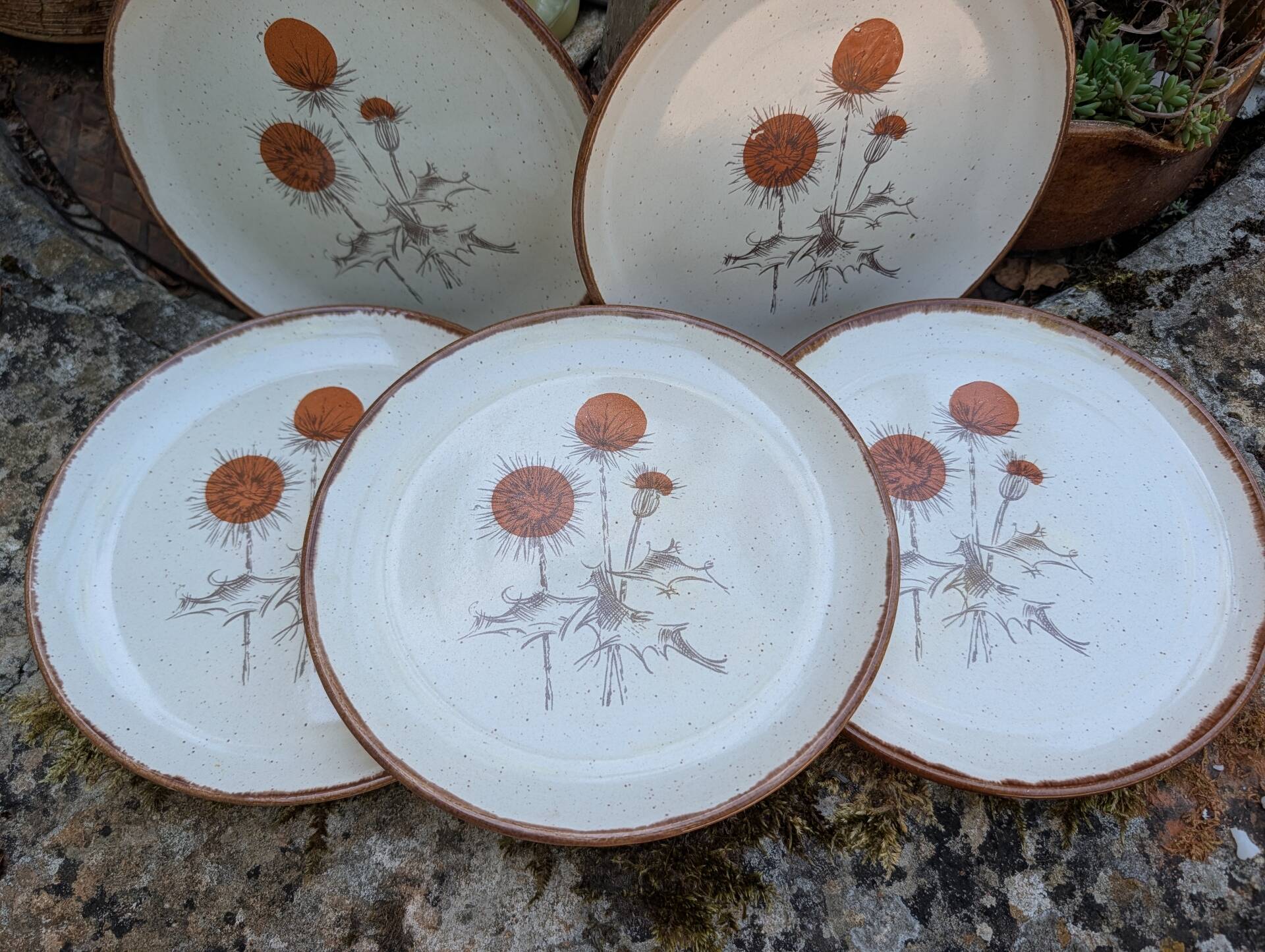5 flat plates ADP Chardon decor from the 1970s