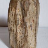 Free form sculpture in fossil wood