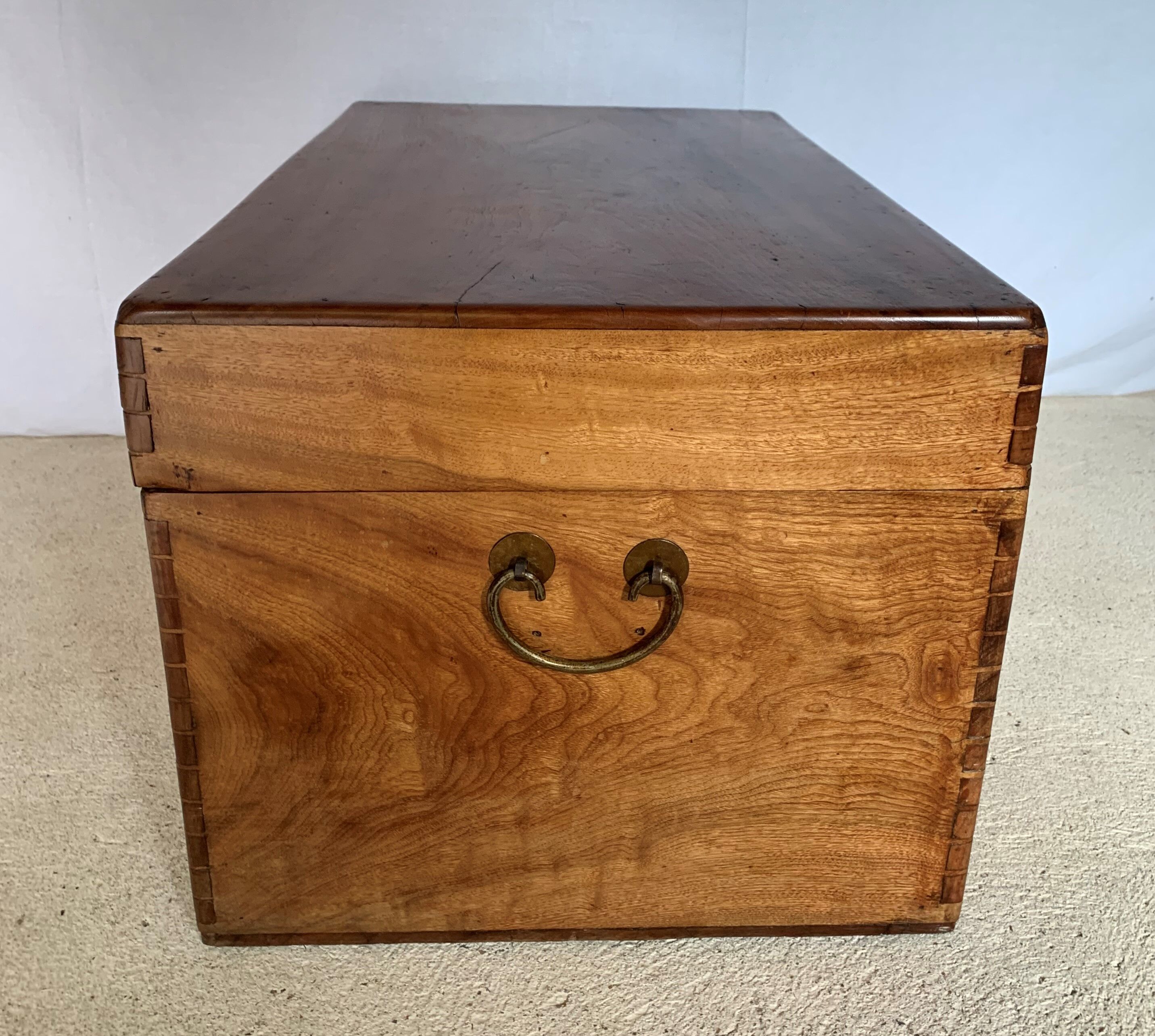 Chinese box in camphrier