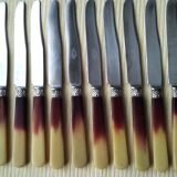 12 cheese knives, fruit handle in horn