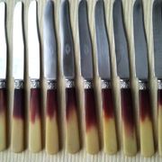 12 cheese knives, fruit handle in horn