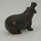 Hippopotamus