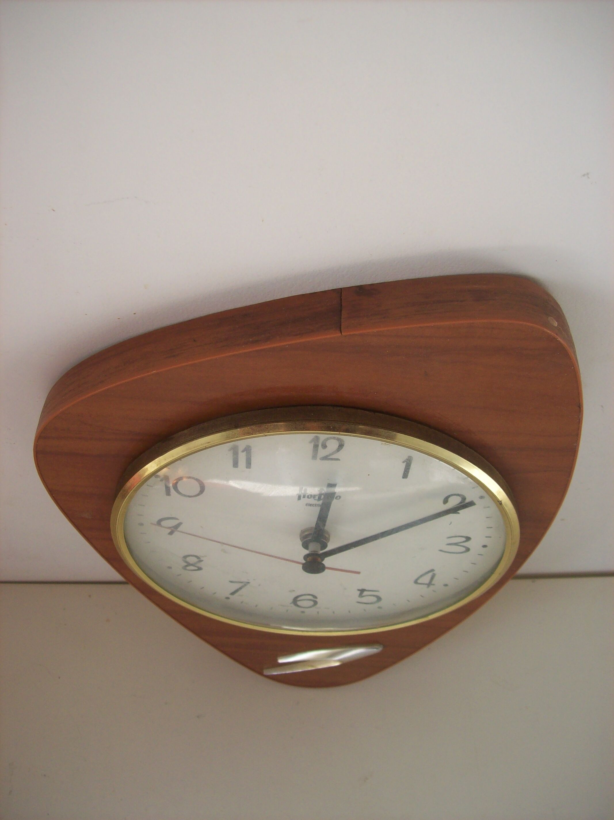 Formica pendulum
