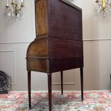 Louis XVI/18th century mahogany roll-top desk forming a display case