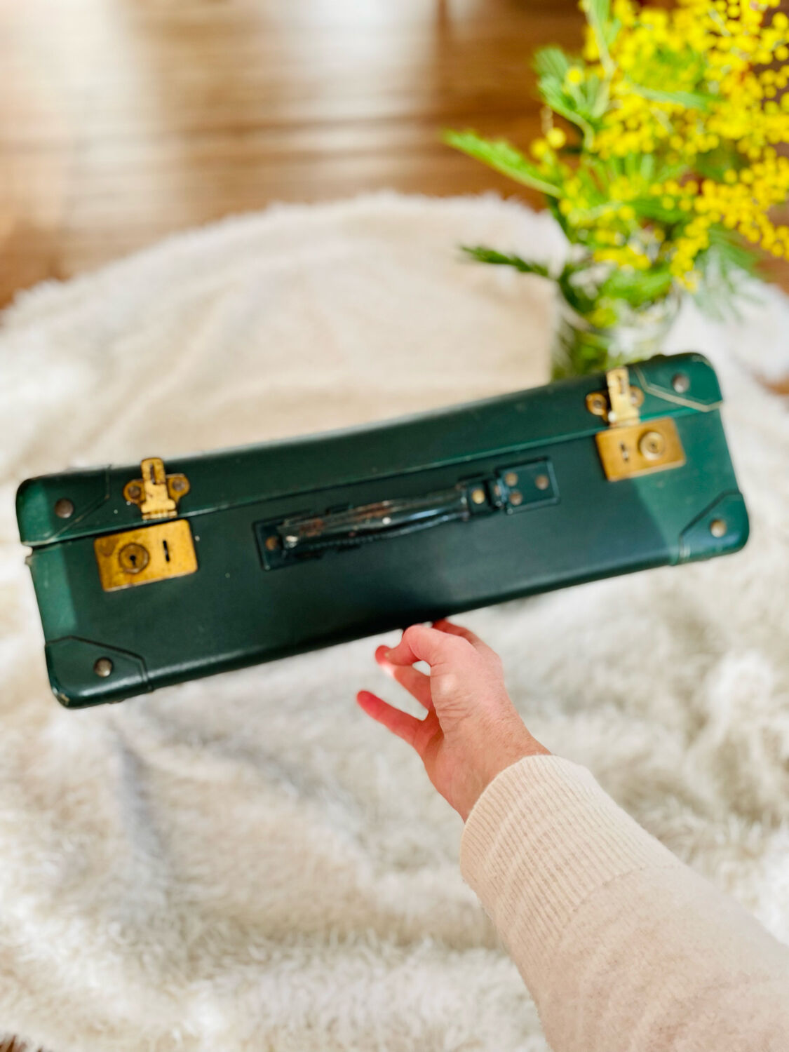 Valise carton vintage vert foncé