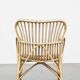 Vintage 1950s Dutch design rattan armchair with organic shapes