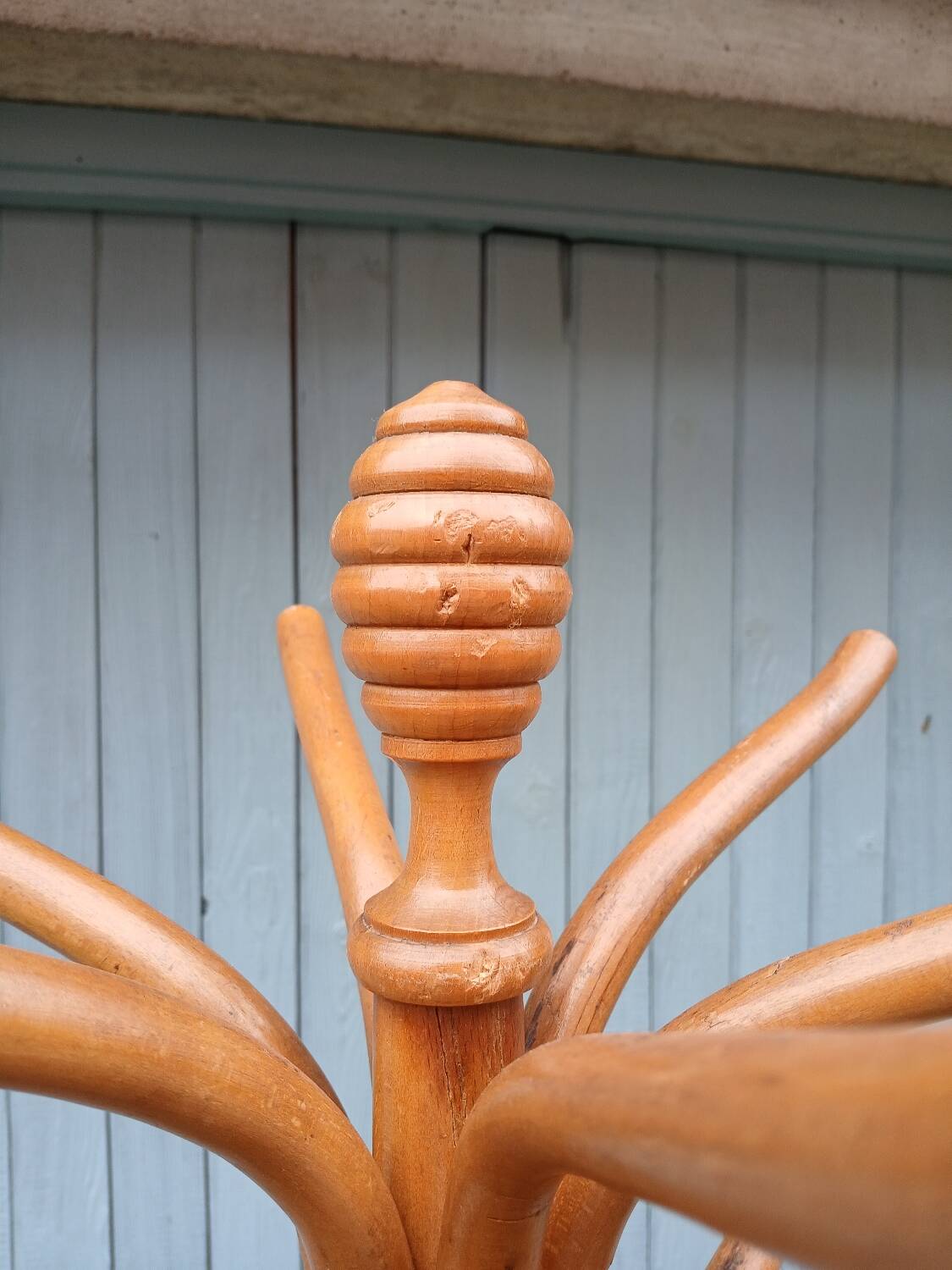 Antique parrot coat rack