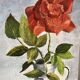Oil on canvas painting flower signed vintage