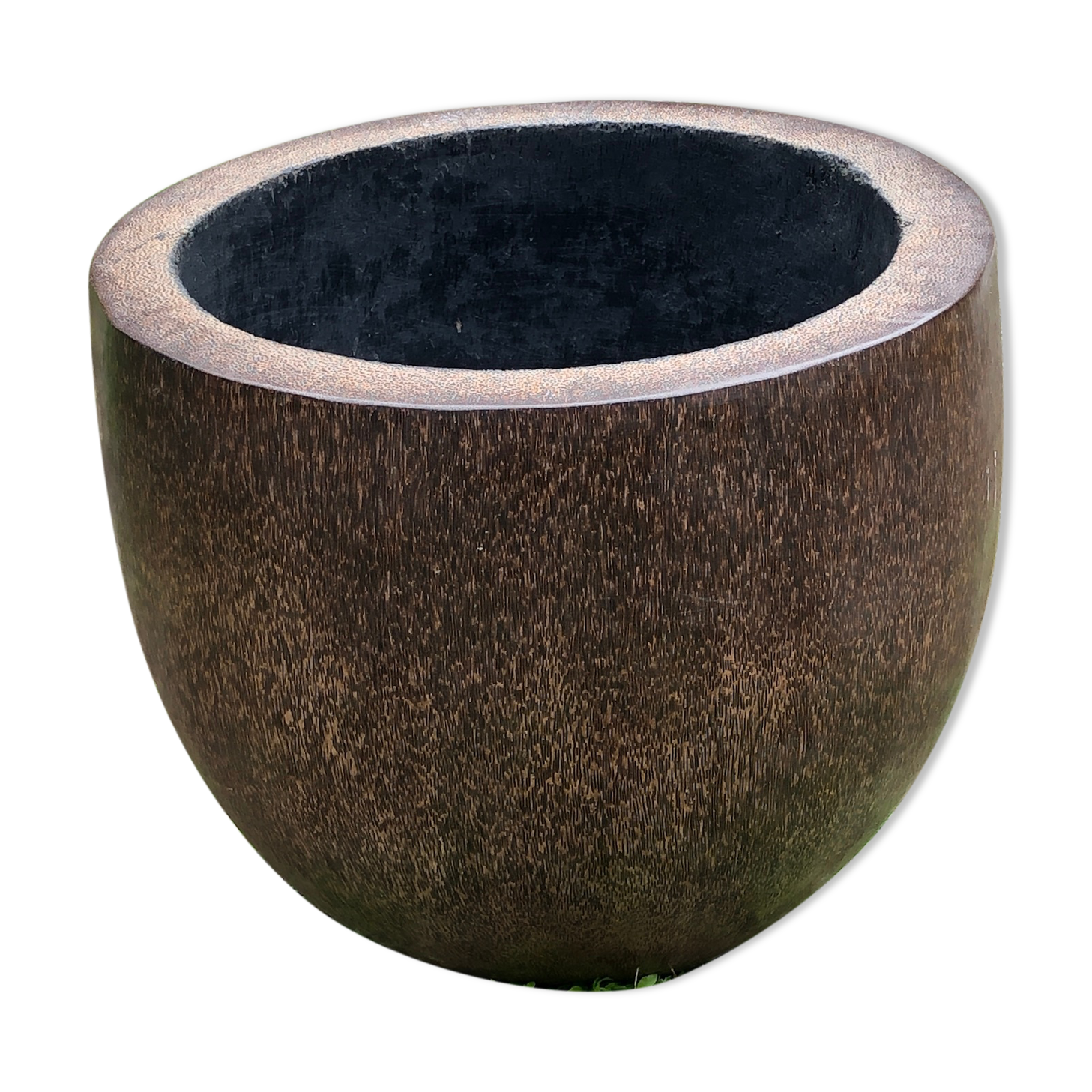 Massive coconut cacker