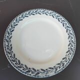 Dish on saline iron earth pedestal