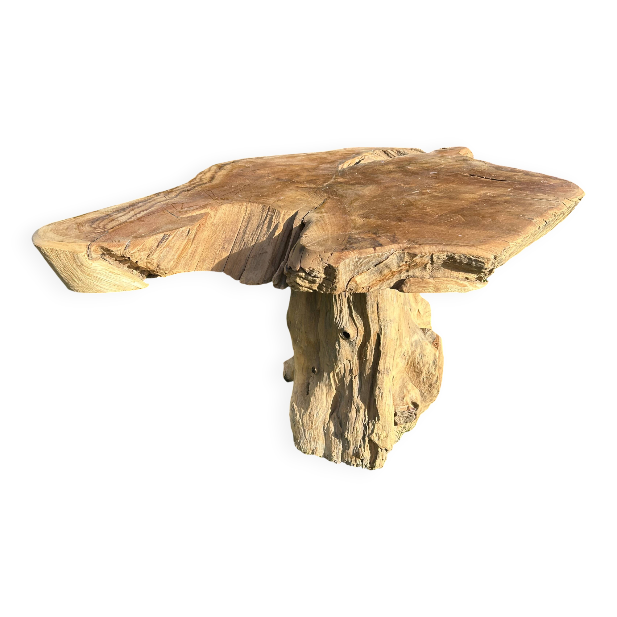 Root sculptural coffee table