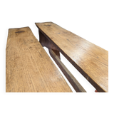 Pair of chestnut benches