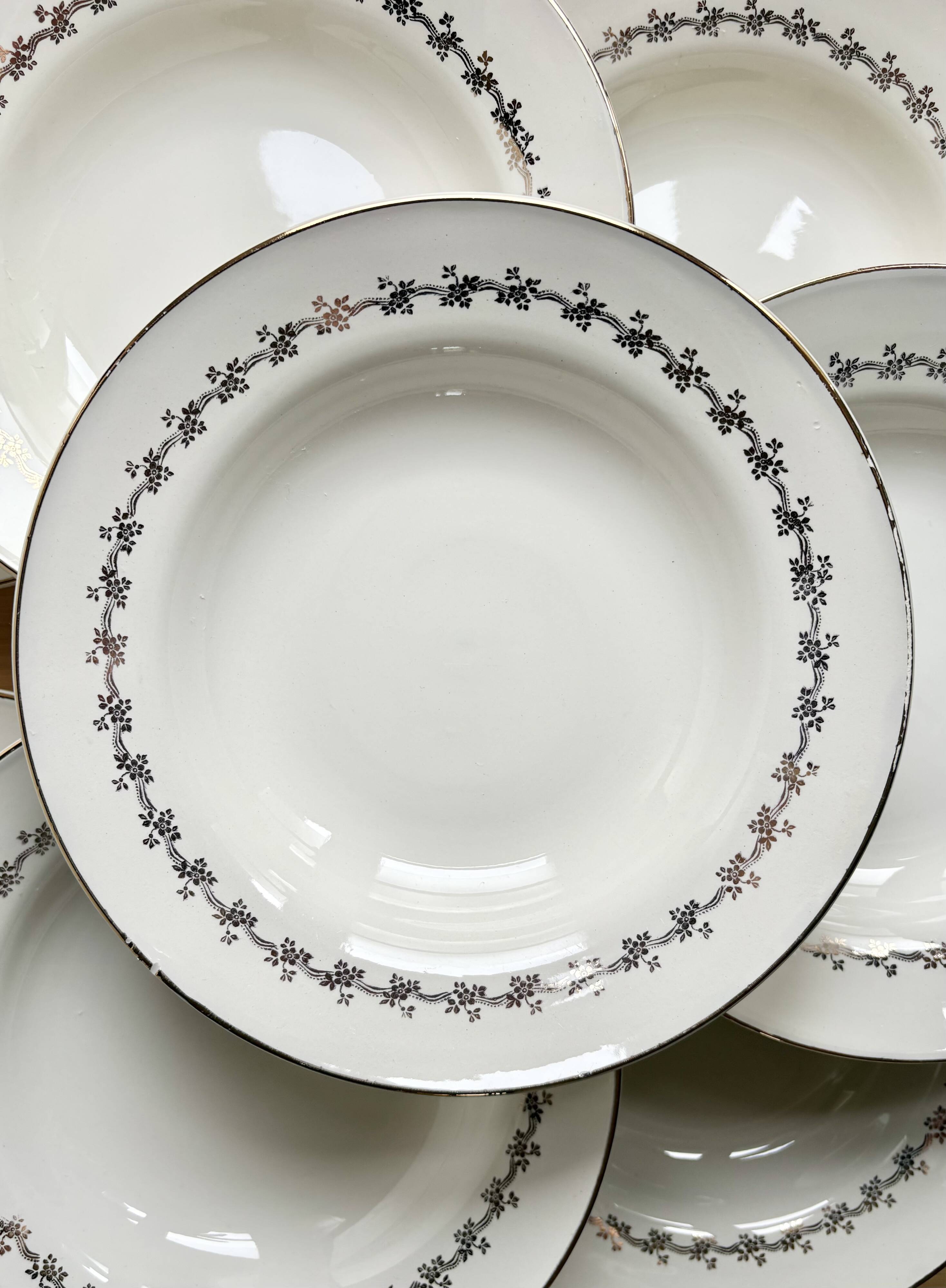 8 Digoin Sarreguemines plates