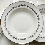 8 Digoin Sarreguemines plates