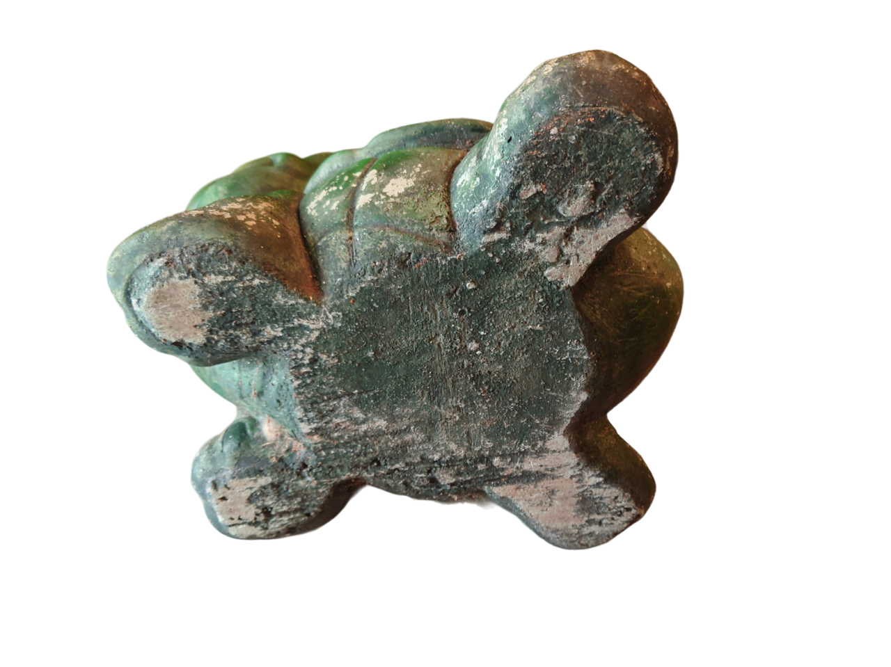 Green turtle in concrete