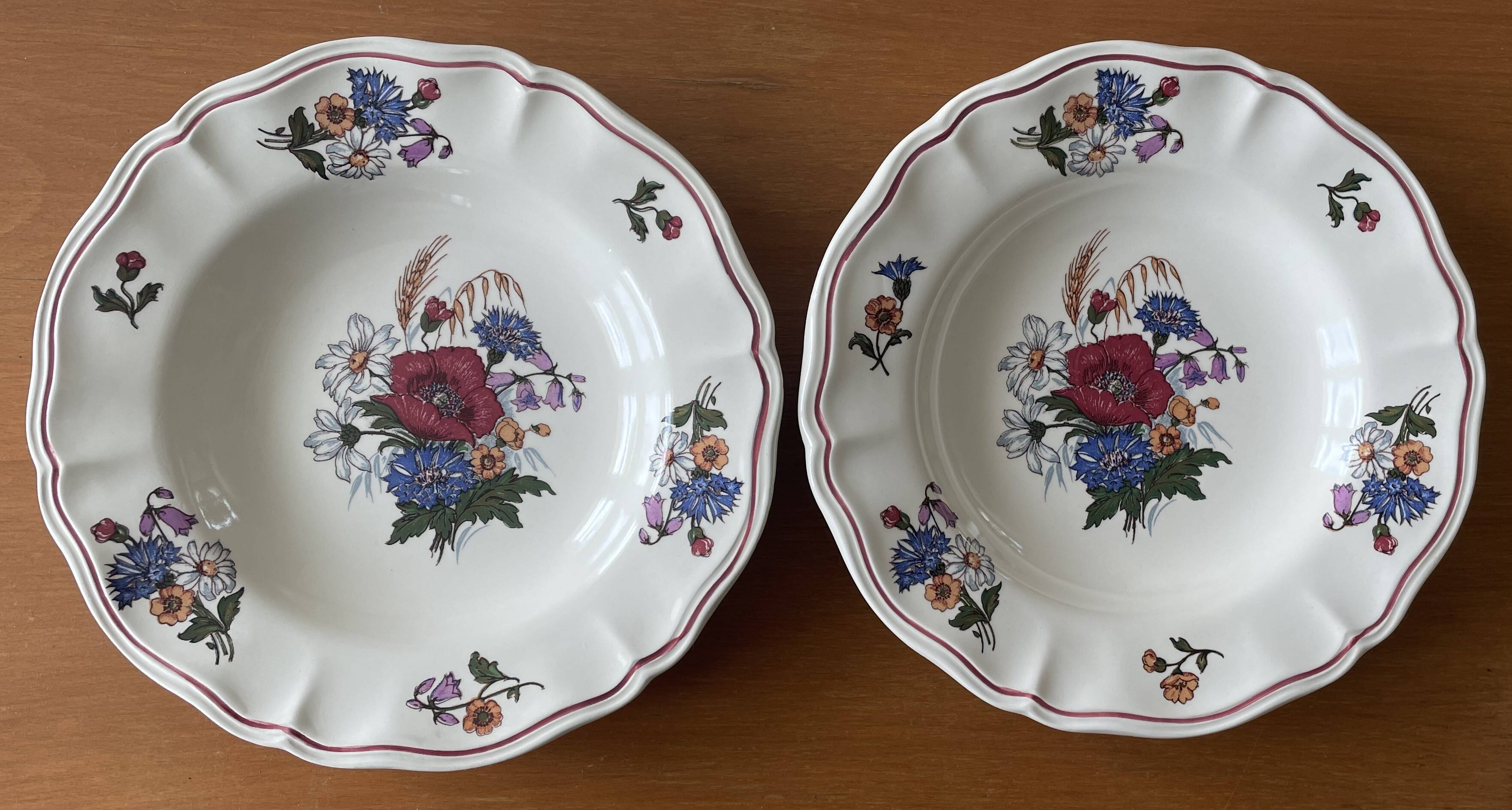 6 antique deep plates in Sarreguemines earthenware