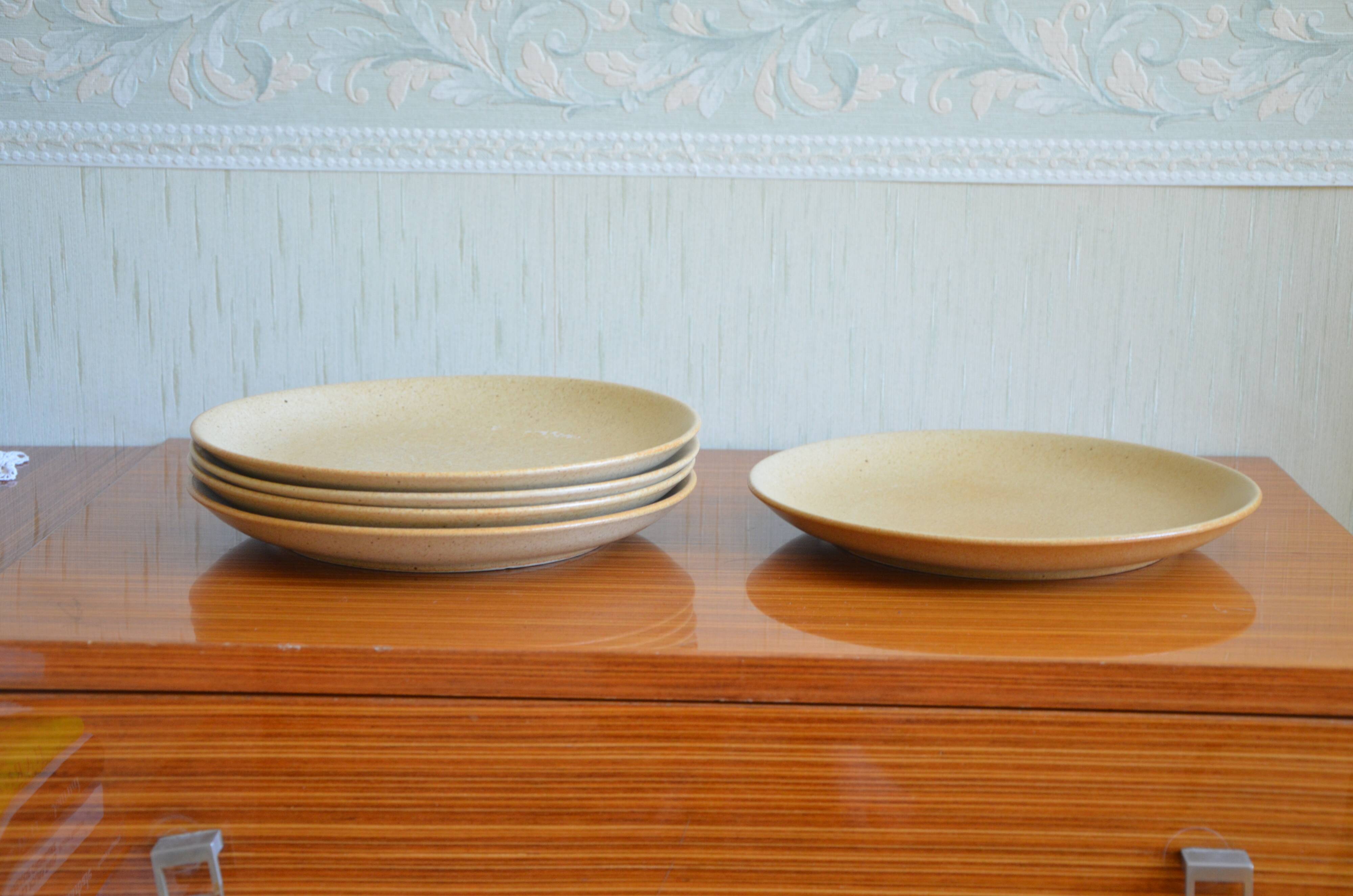 Lot de 5 assiettes plates en grès