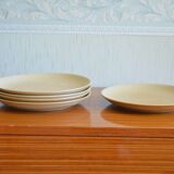 Lot of 5 flat plates in sandstone