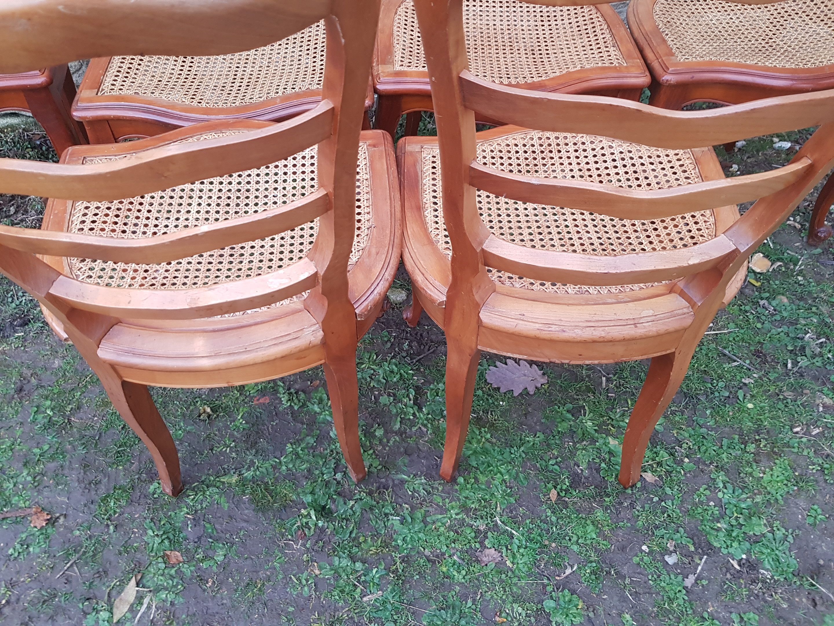 Chaises cannées