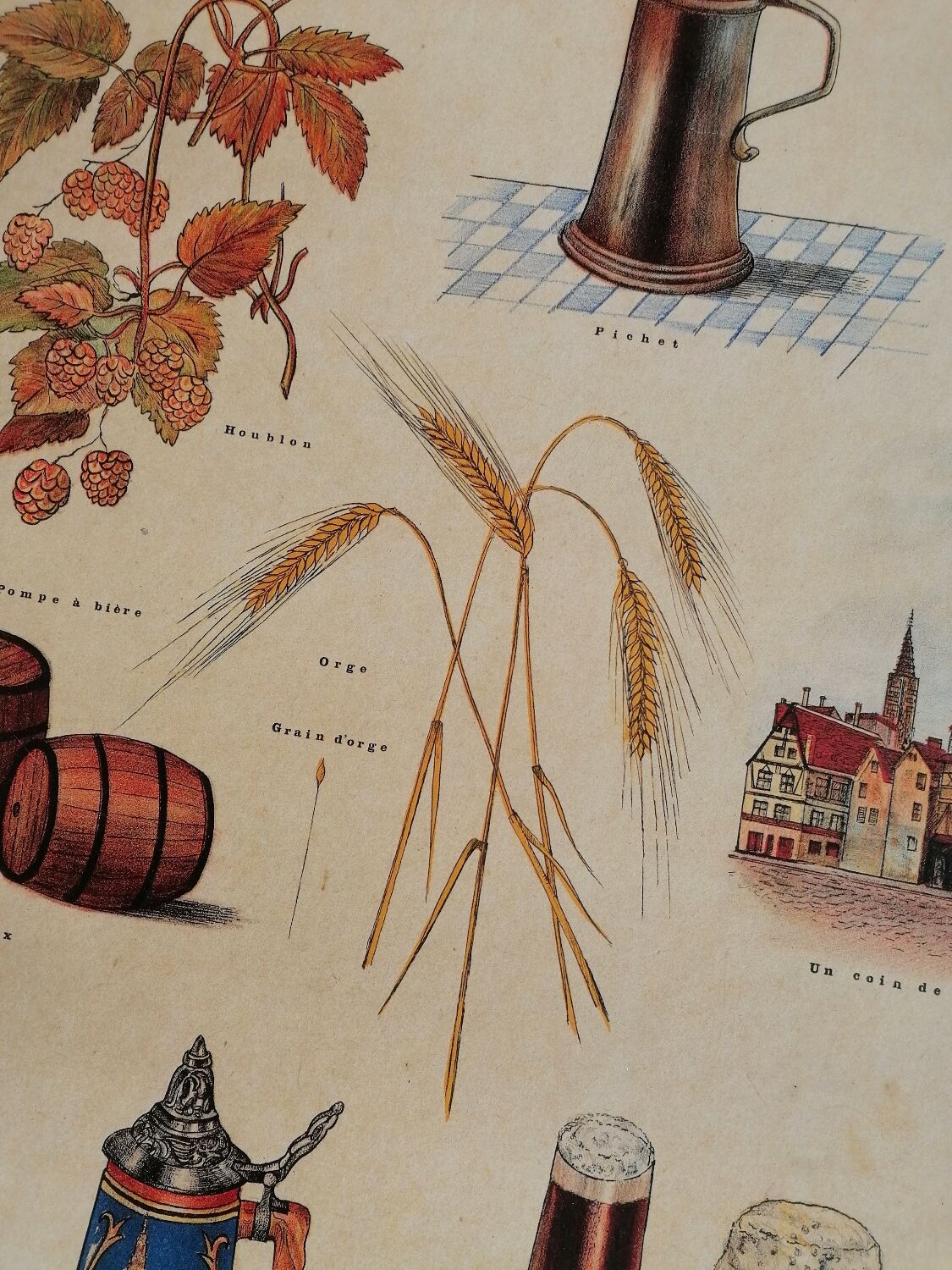 Educational poster La Bière - Musée scolaire Les fils d'Émile Deyrolle