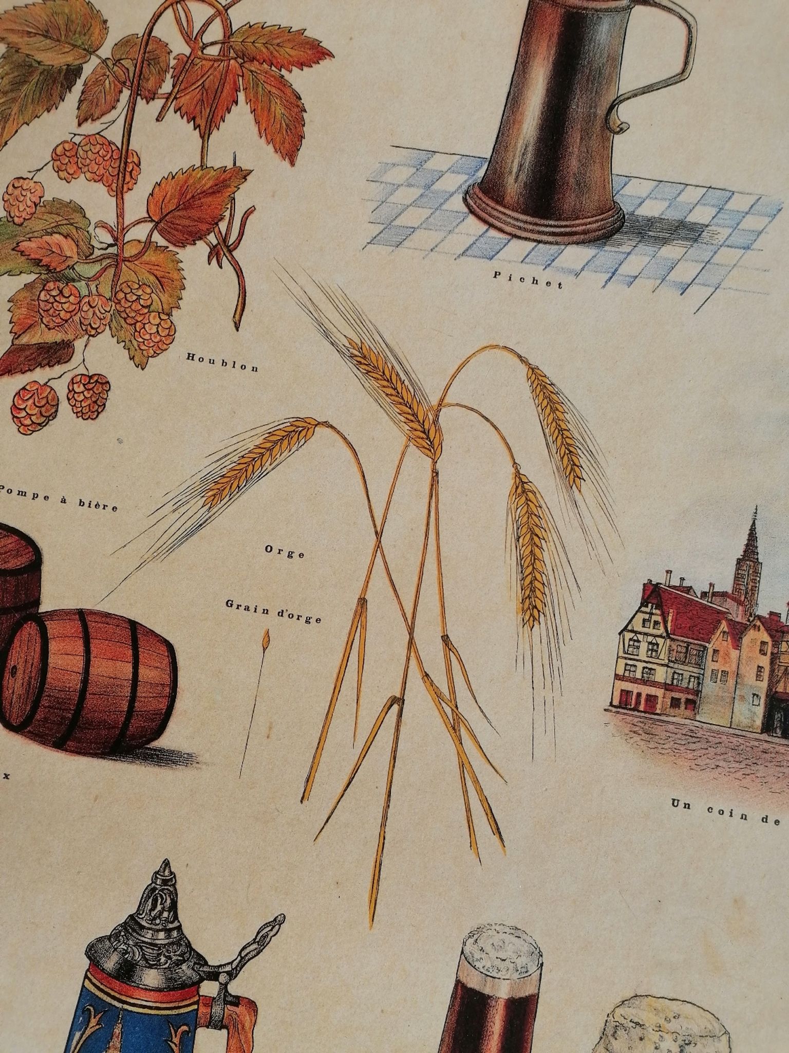 Educational poster La Bière - Musée scolaire Les fils d'Émile Deyrolle