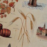 Educational poster La Bière - Musée scolaire Les fils d'Émile Deyrolle