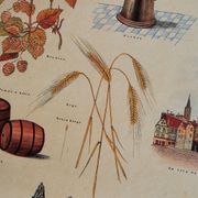 Educational poster La Bière - Musée scolaire Les fils d'Émile Deyrolle