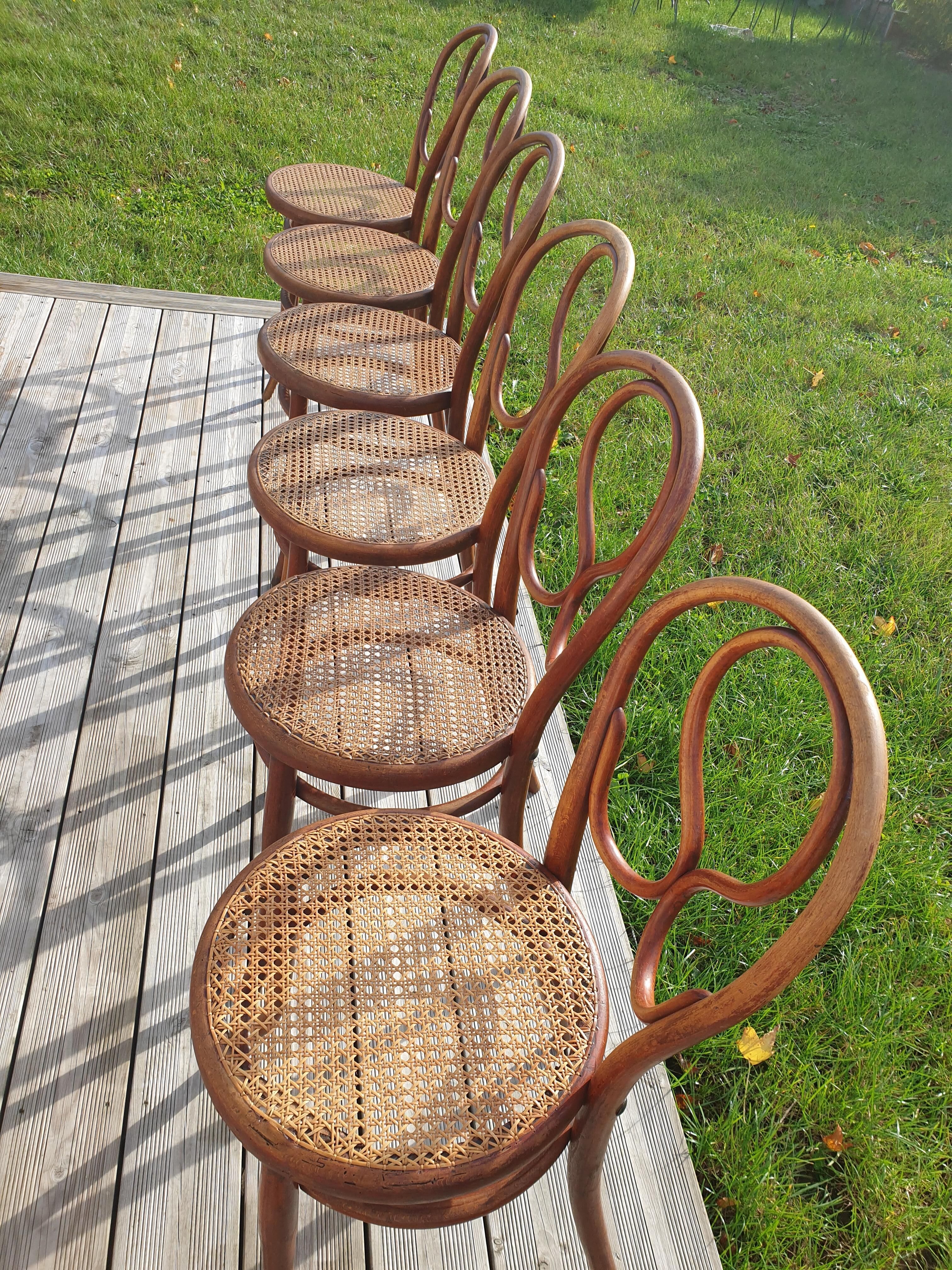 Série de 6 chaises Thonet N°20 Omega