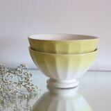 Pair of antique bowls