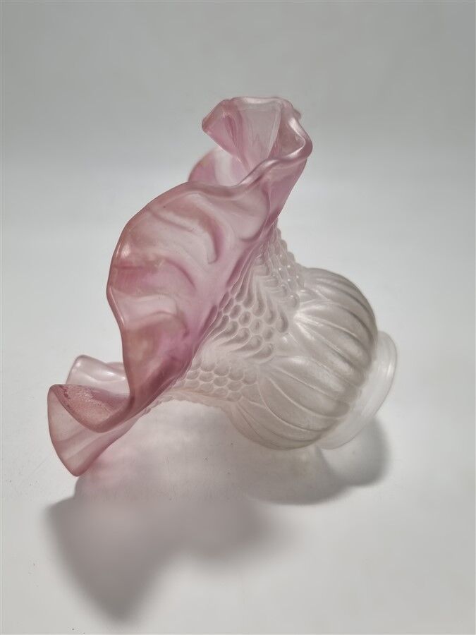 Tulip