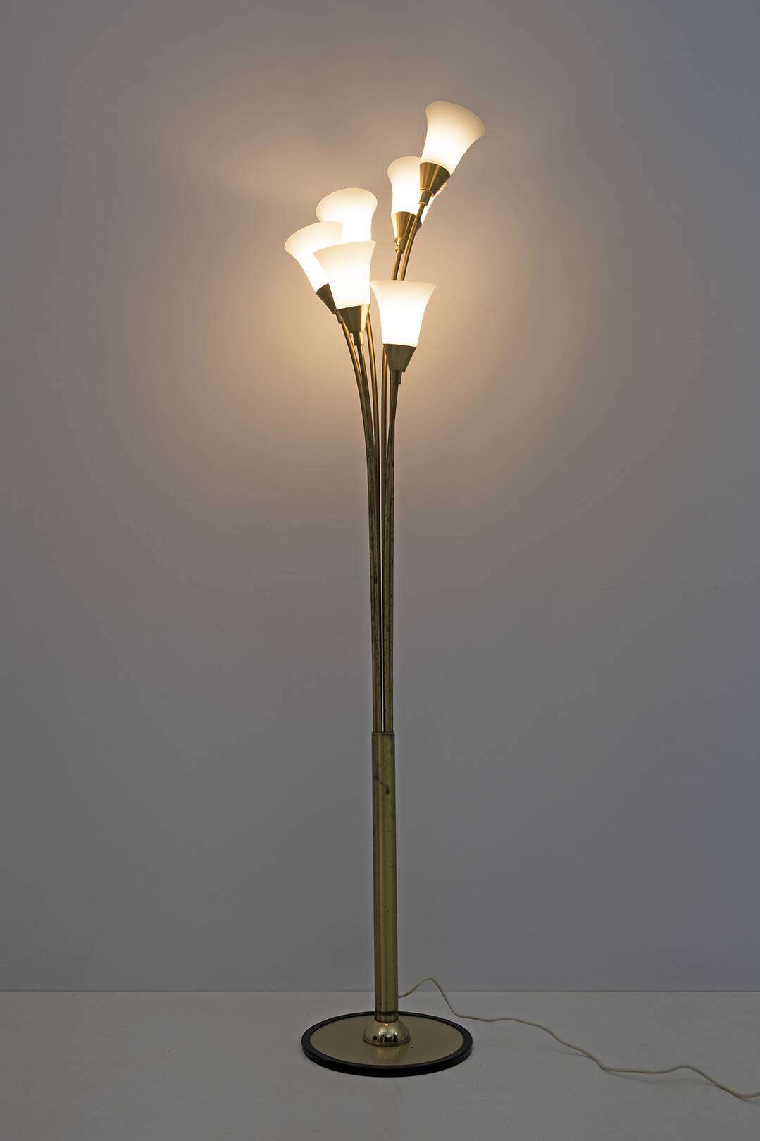 Mid-Century Modern Italian Opaline Glass and Gilt Brass Tulip Floor Lamp,60