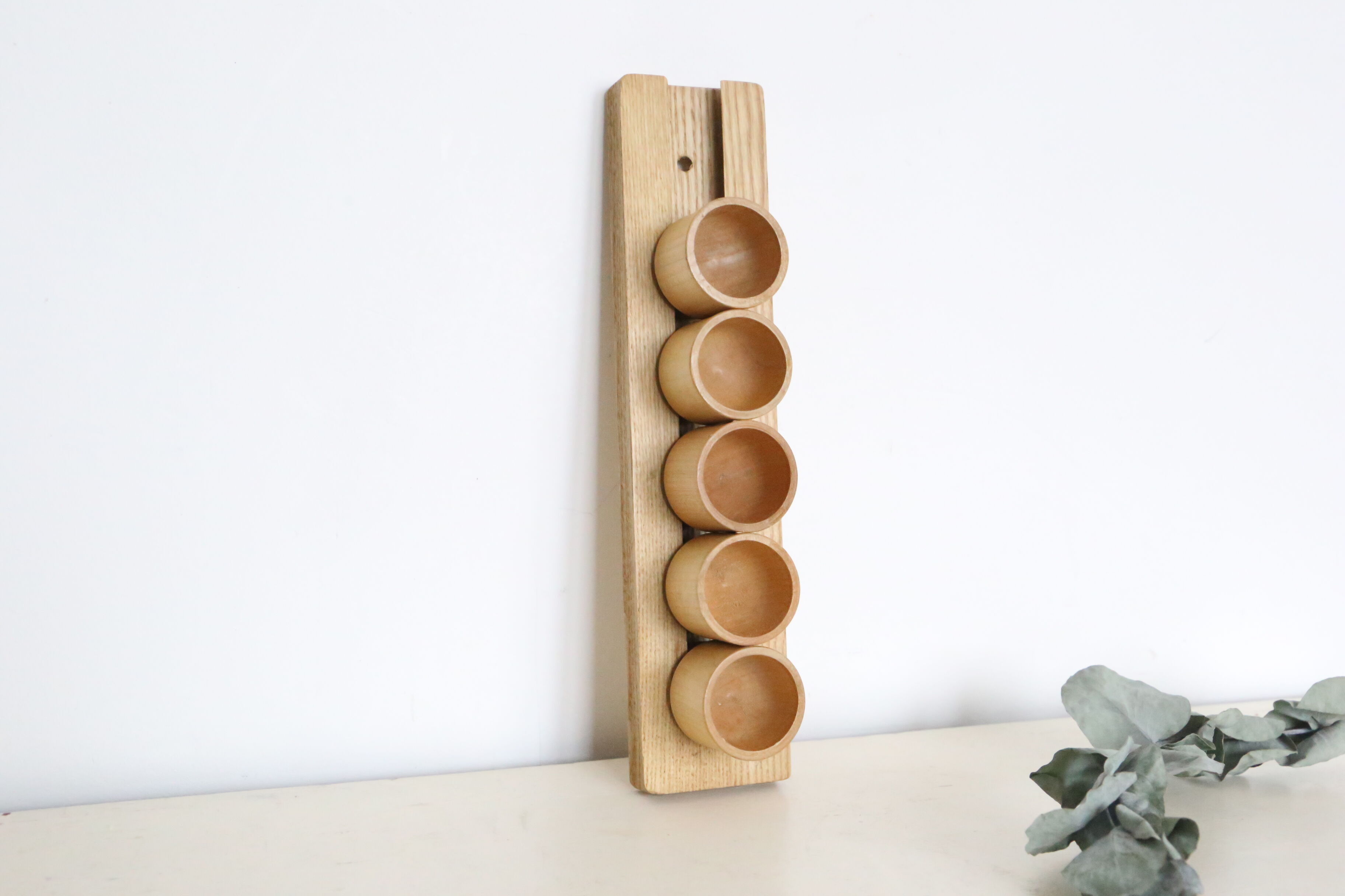 Set of 5 cockroaches on their wooden, vintage support