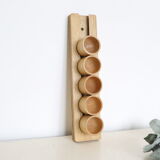 Set of 5 cockroaches on their wooden, vintage support