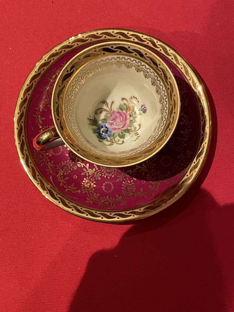 Cup and under cup with floral interior