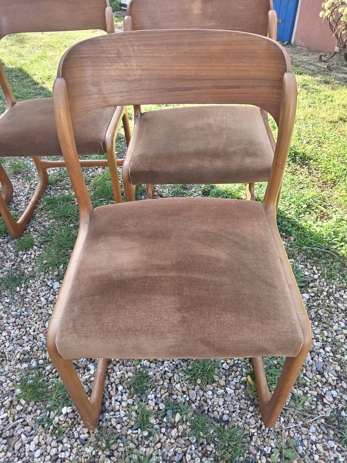 Baumann sled chairs