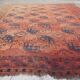 Tapis afghan ersari 285 x  225 cm