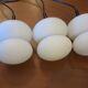 Set of 3 opal glass organically shaped pendant lights, 1960s