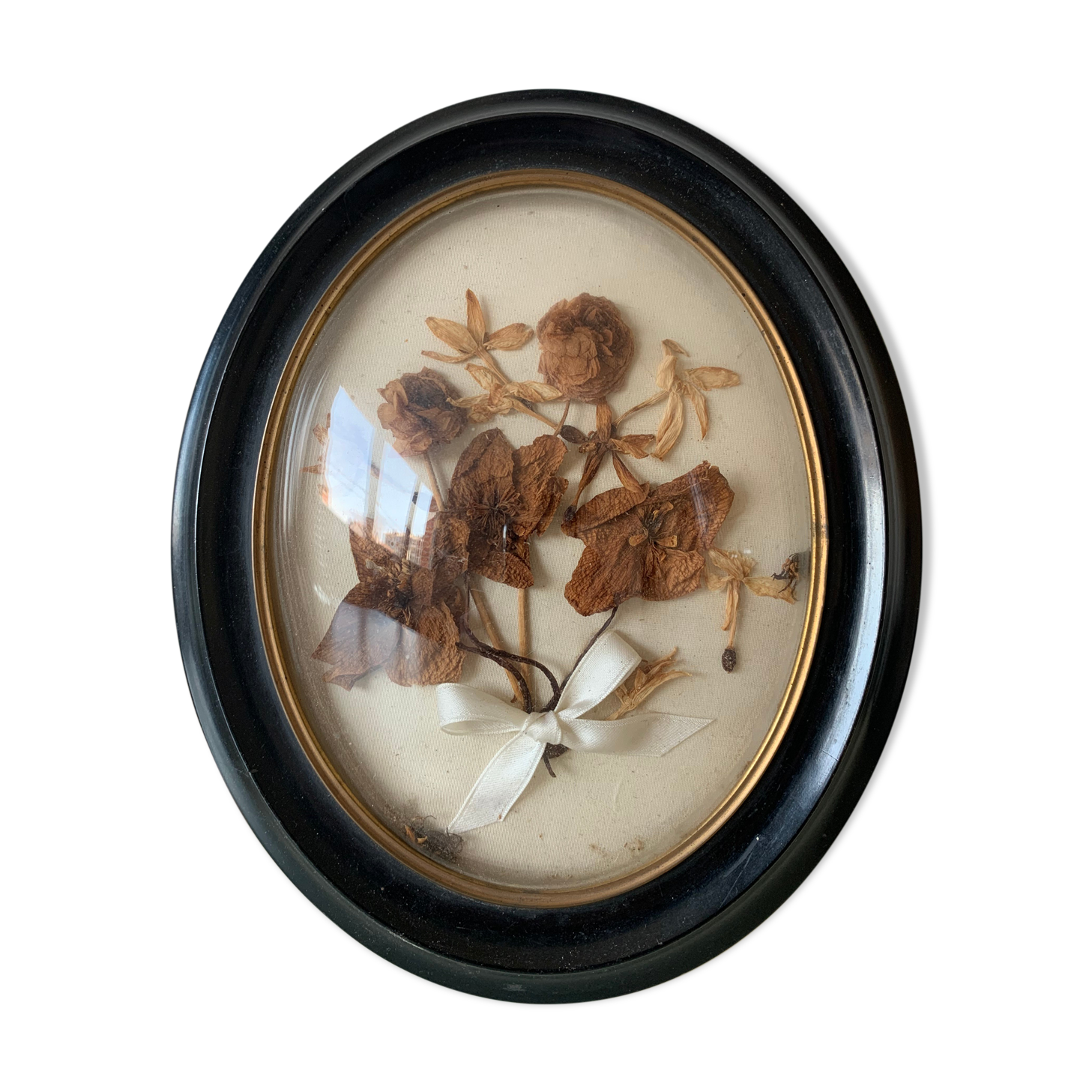 Herbier avec cadre Napoléon III