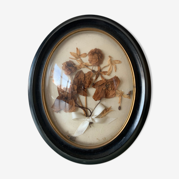 Herbier with Napoleon III frame