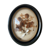 Herbier avec cadre Napoléon III