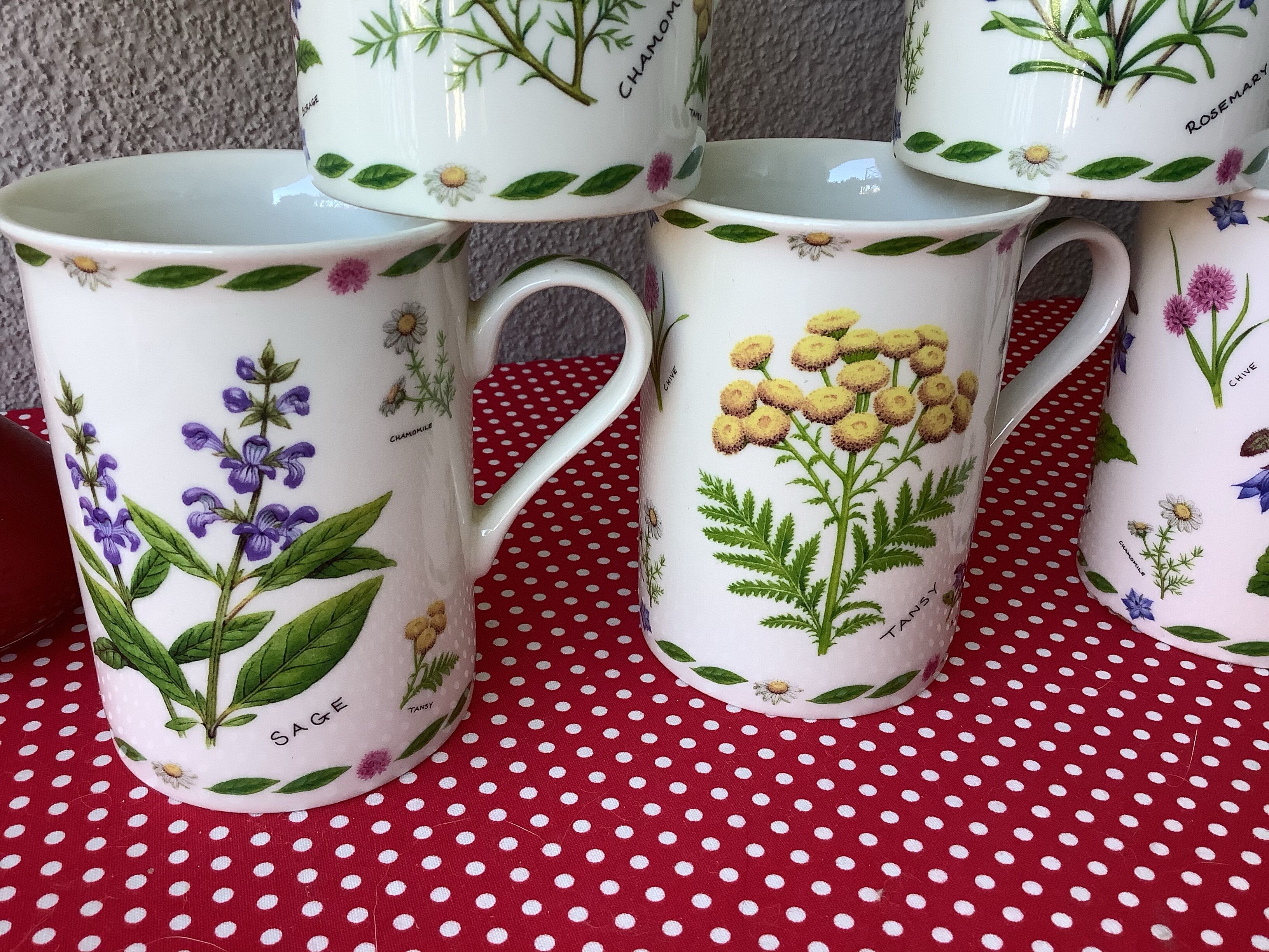 English mugs botanical décor New Bone China