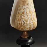 Cabinet de Curiosités coquillage conus pulcher sur socle