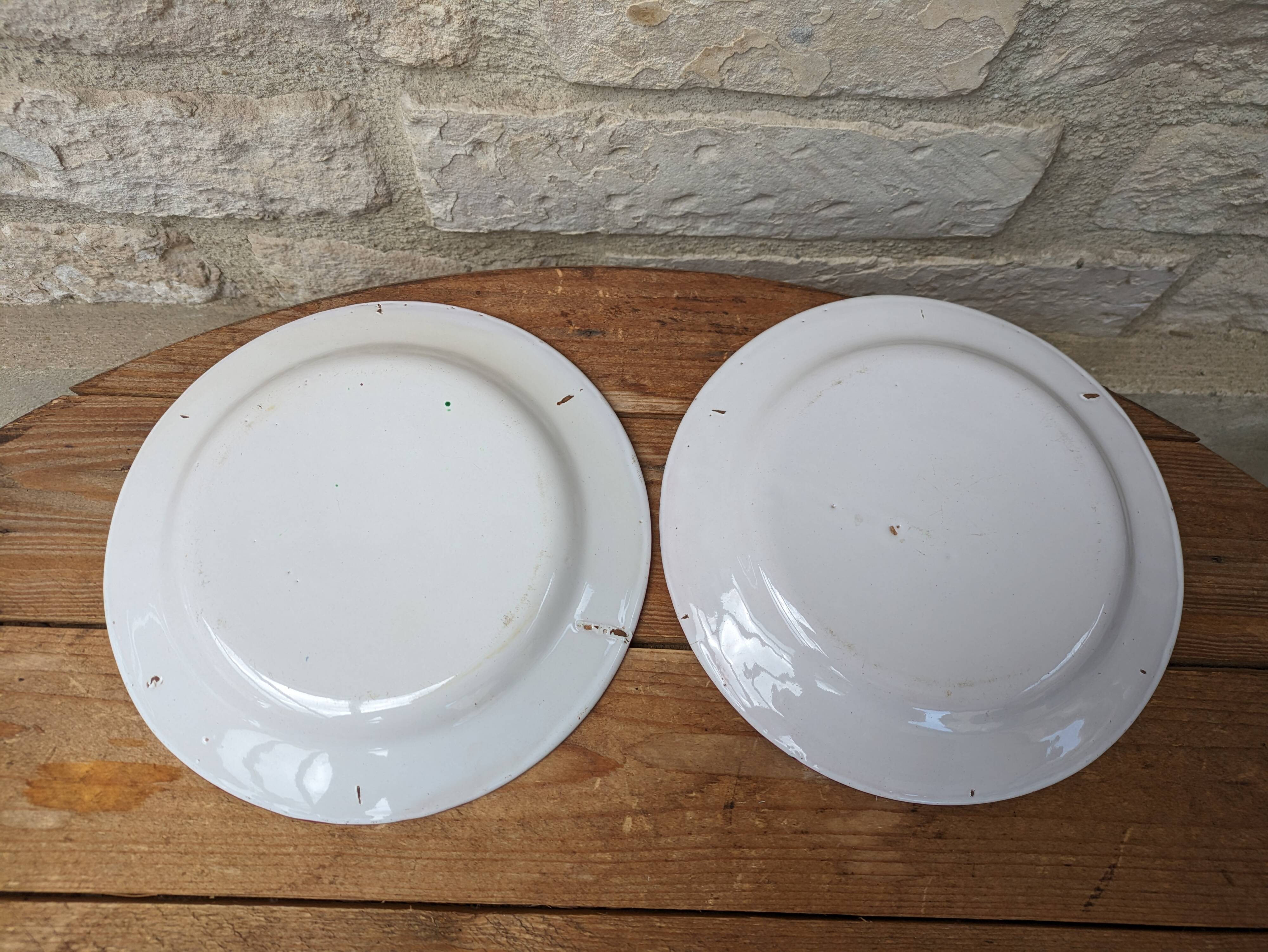 Set of 2 old plates with flower bouquet decoration