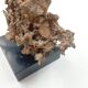 Organic Sculpture Brutalist Modernist Midcentury Gilded Bronze Casting