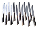 Set of 12 table knives with bovine horn, silver-plated metal and stainless steel.