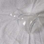 Hyacinth vase or glass hydroponic vase