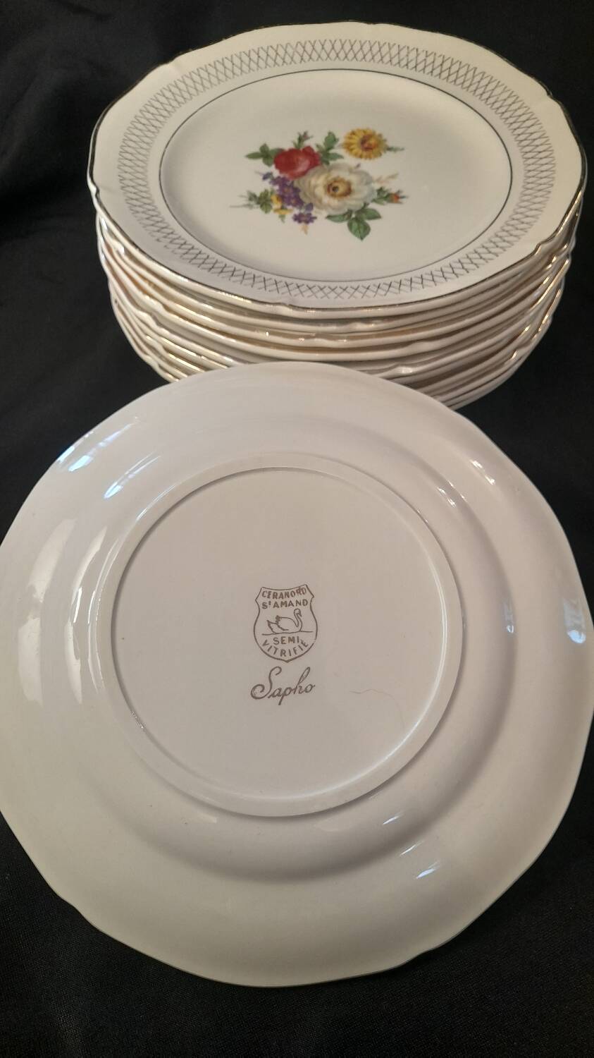 Set of 11 Ceranor St Amand Semi Vitrified Sapho plates
