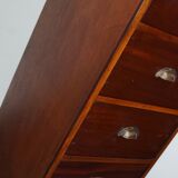 Dutch Industrial Mahogany Apothecary Cabinet, Mid-20th Century
