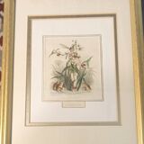 Animated Flowers Frame by JJ Grandville - Water Arrow