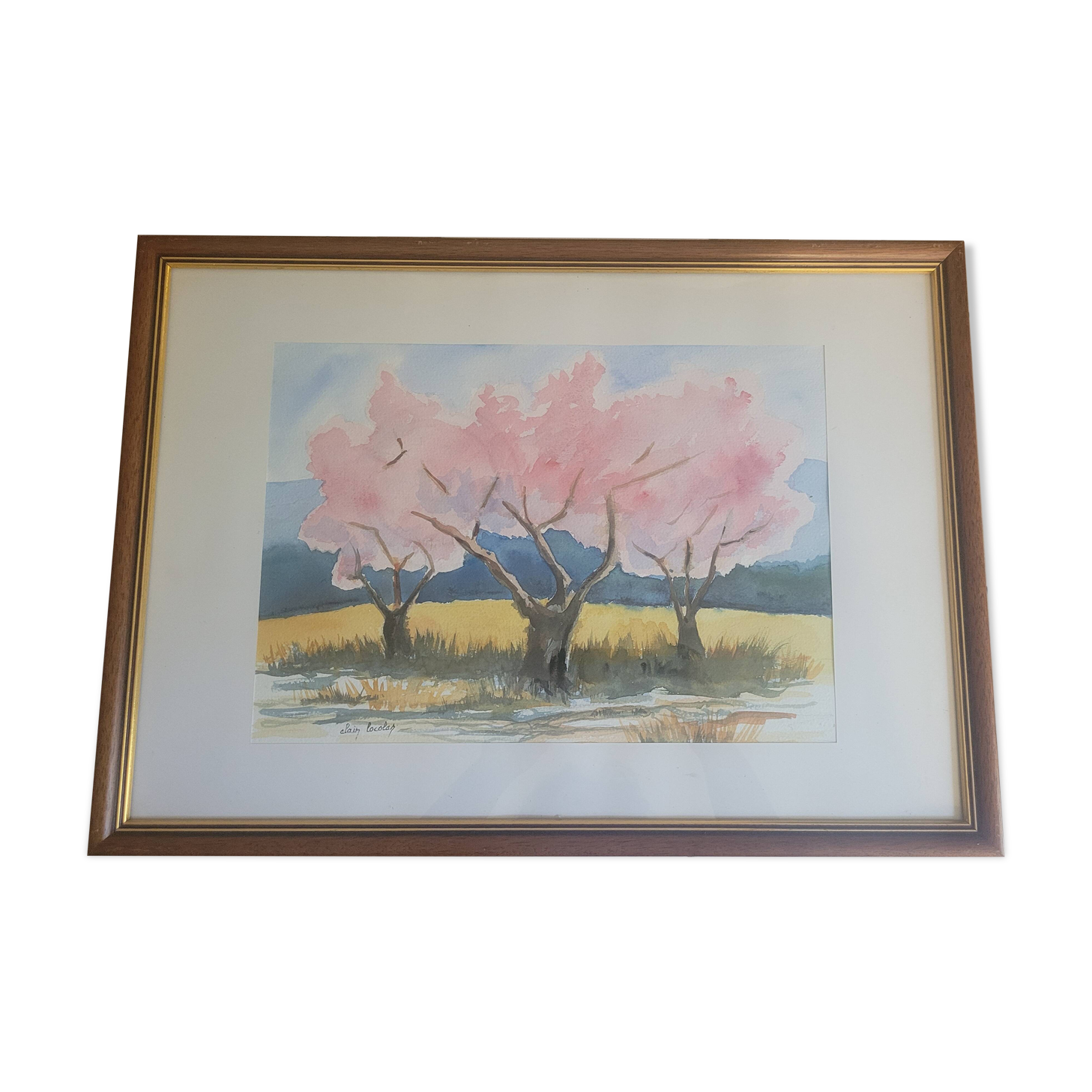 Watercolor cherry blossoms